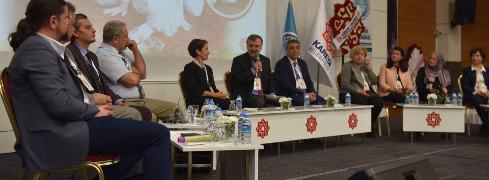 65 profesör ‘Düşme’yi Karesi’de tartıştı