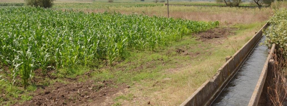 'Kocaavşar Göleti Yeraltı Sulama Sistemi' hayat geçiyor