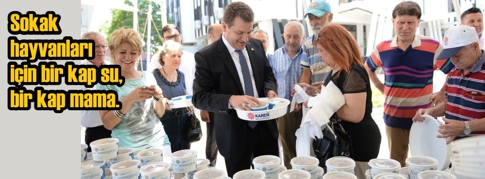 Sokak hayvanları için bir kap su, bir kap mama