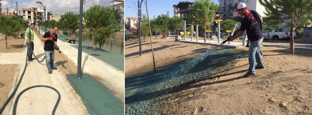 Daha yeşil Karesi için ileri teknoloji çim ekimi