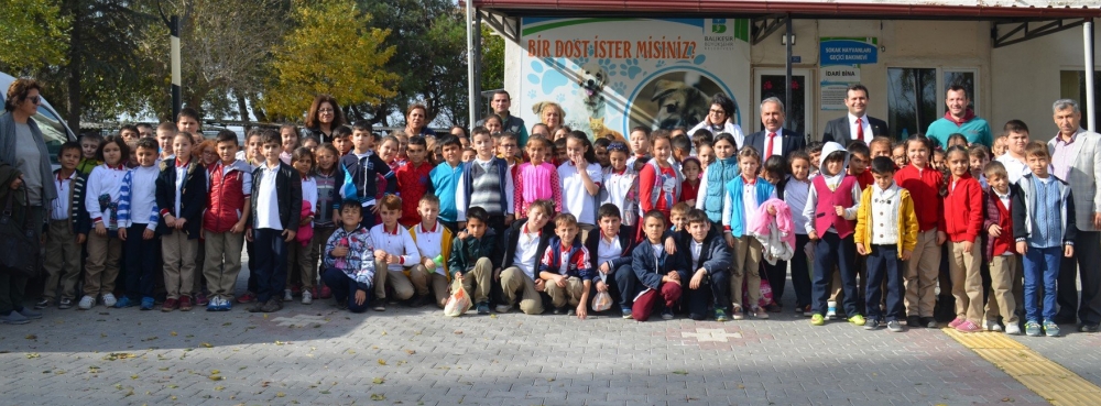 Hayvan sevgisi her yerde