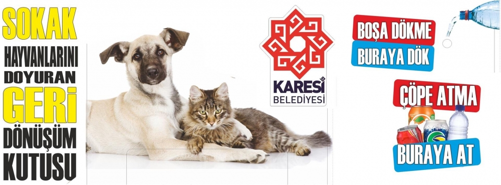 Karesi Belediyesi sokak hayvanlarını unutmadı