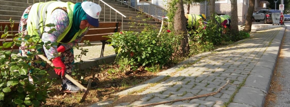 Karesi çiçek açtı