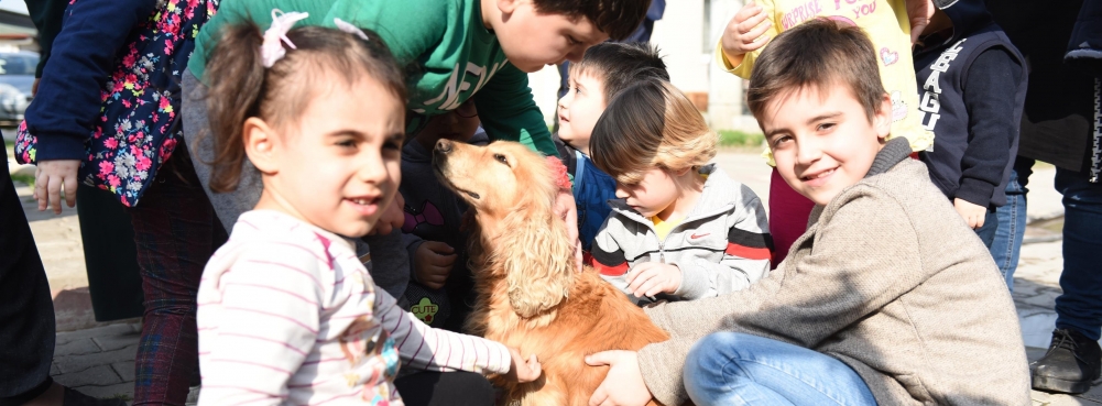 Minikler sokak hayvanlarının sesi oldu