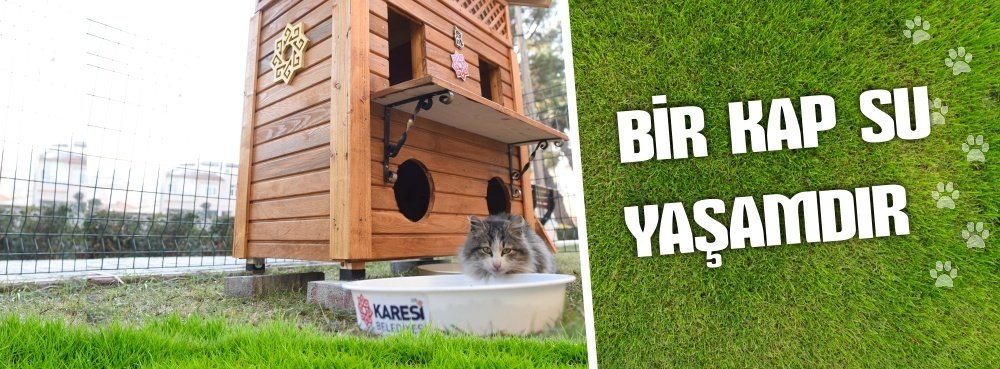 Bir kap su yaşamdır