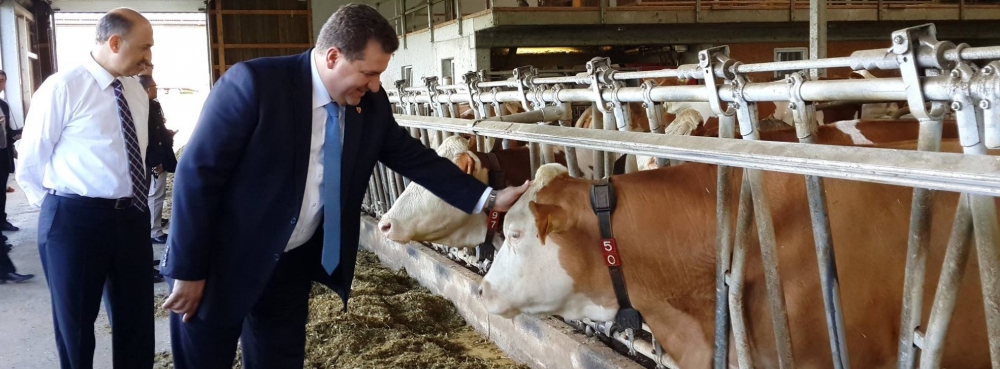 Karesi�den hayvan çiftliği incelemesi