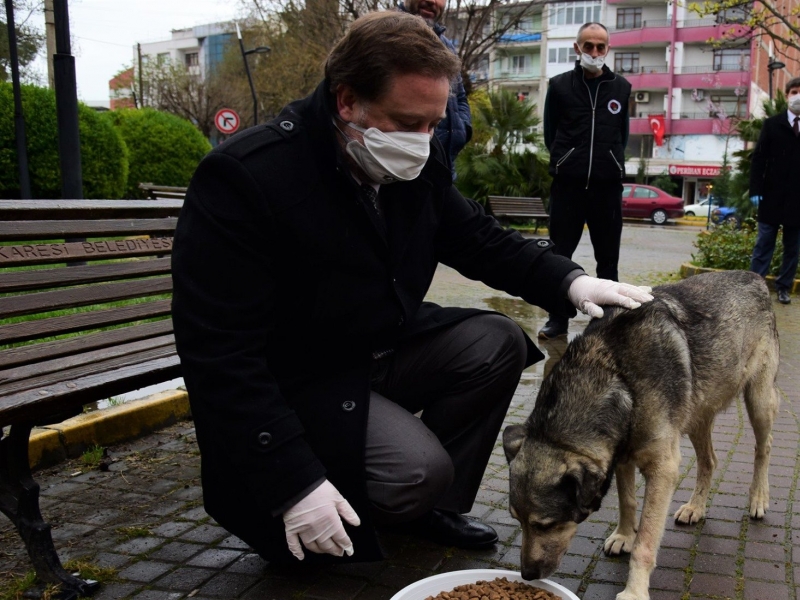 Karesi Dost Eli Uzatıyor