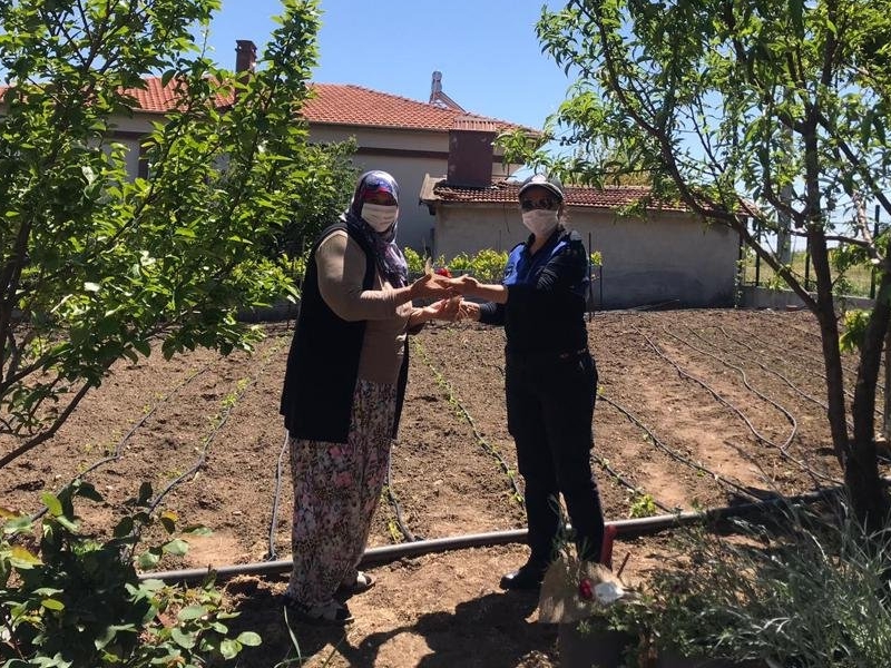 BEŞİĞİ SALLAYAN DÜNYAYI SALLAR