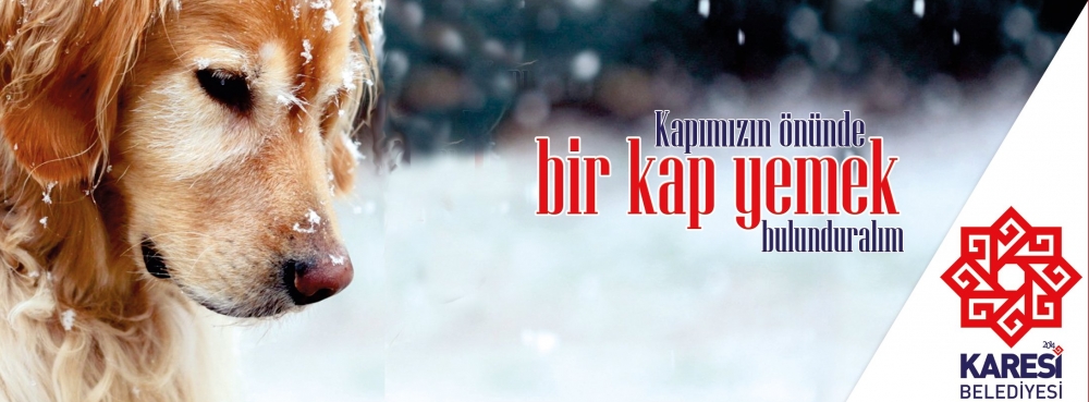 Onları Unutmayalım