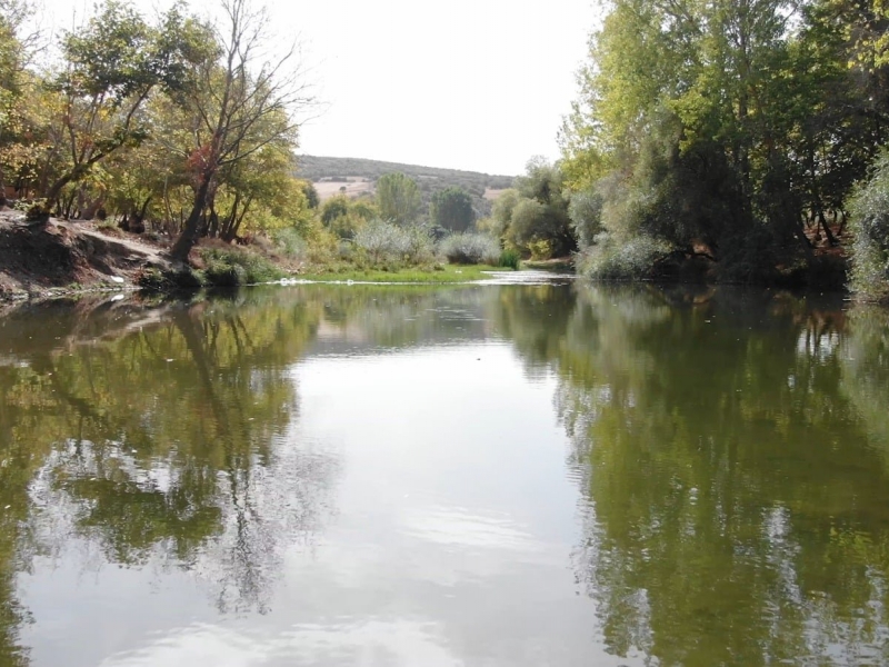 KOCAAVŞAR MESİRE ALANI 2021’DE YENİLENECEK