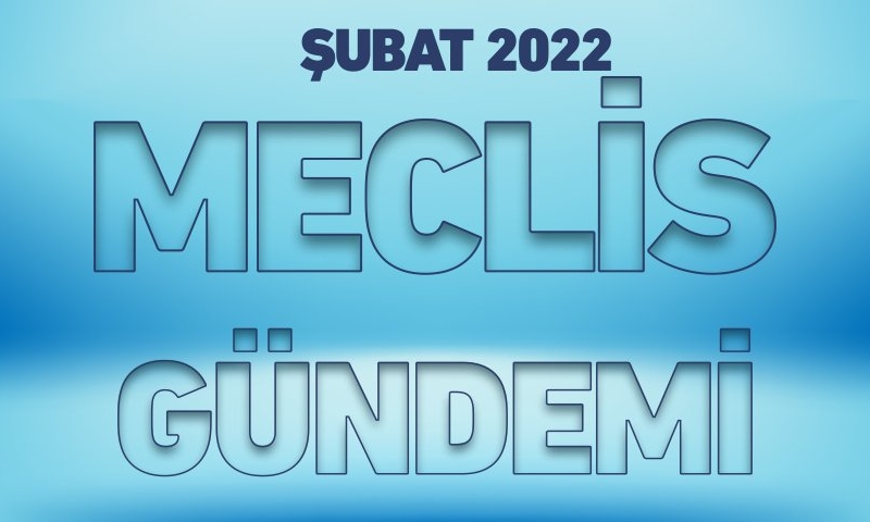 ŞUBAT 2022 MECLİS GÜNDEMİ