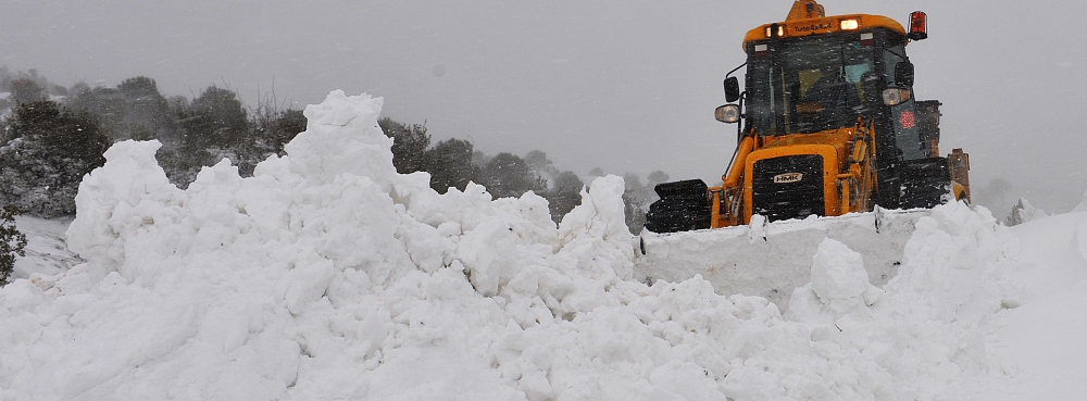 Karesi'de beyaz esarete erken önlem