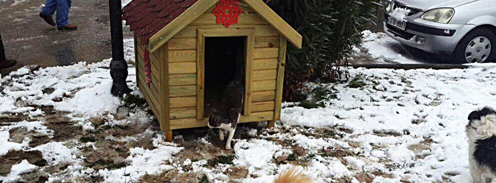 Hayvanlar 'Karesi  Evleri'nde üşümüyor