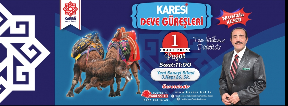 Karesi'de deve güreşleri festivali