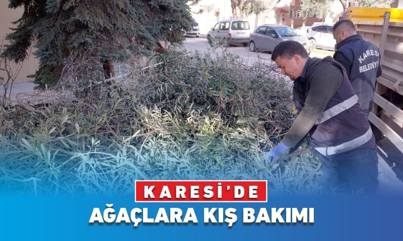 KARESİ BELEDİYESİ’NDEN AĞAÇLARA KIŞ BAKIMI