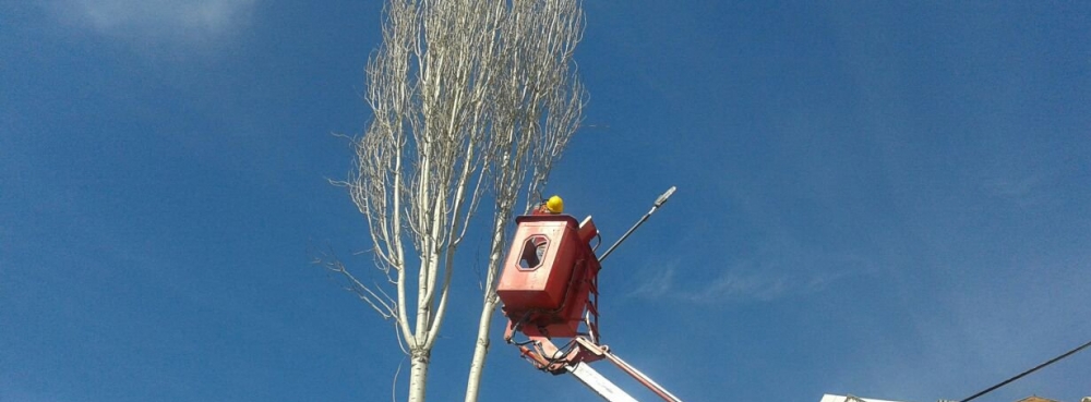 Cevre Dostu Karesi Belediyesi