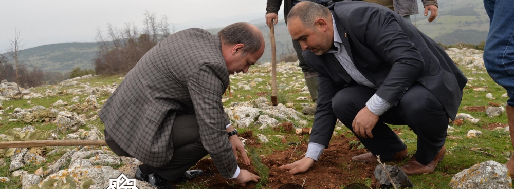 Ziyaretli yeşilleniyor