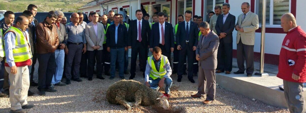 Karesi, kurban keserek  "bismillah" dedi