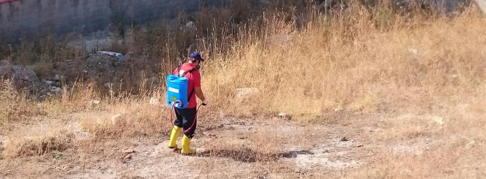 Karesi'de 72 bin 223 dekar alan ilaçlandı