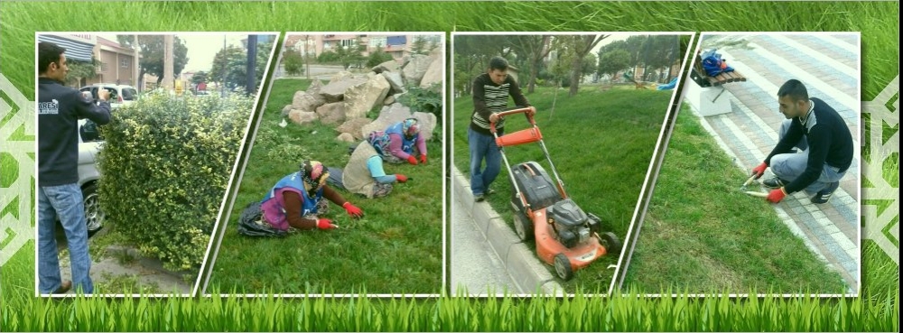 Karesi, yeşilin değerini biliyor