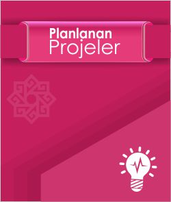 planlanan