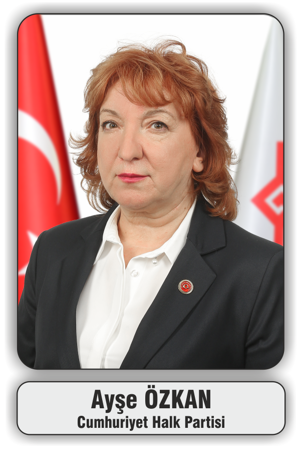 ayse-ozkan-chp