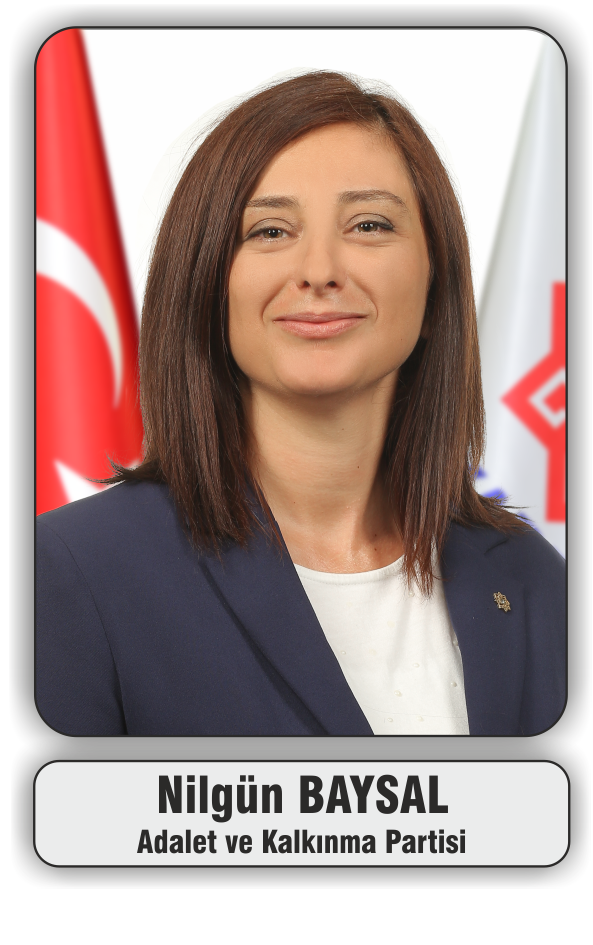nilgun-baysal-ak-parti